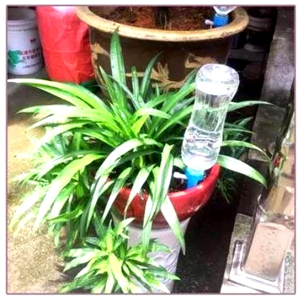 Easy Watering Plant Stakes (12 Pack) - Adjustable Garden Helper