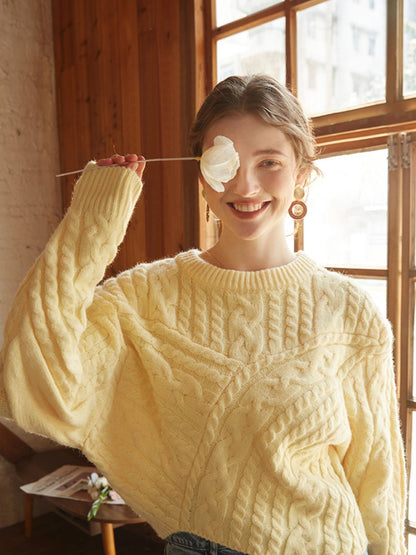 Big Citrus Crew Neck Sweater