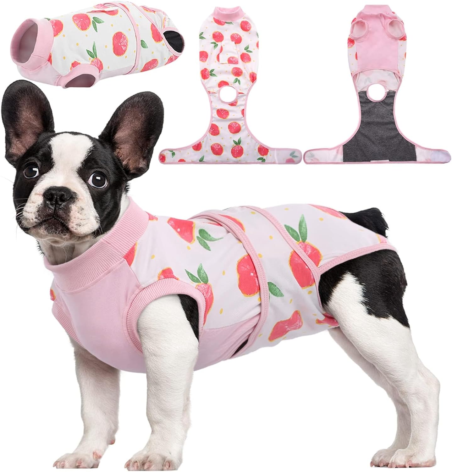 Post Surgery Pet Recovery Suit - Pexav
