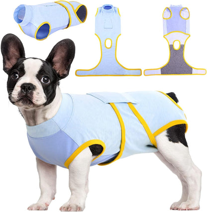 Quick Recovery Suit for Pets – Healing After Surgery-Blue-XS-Nora Luxe