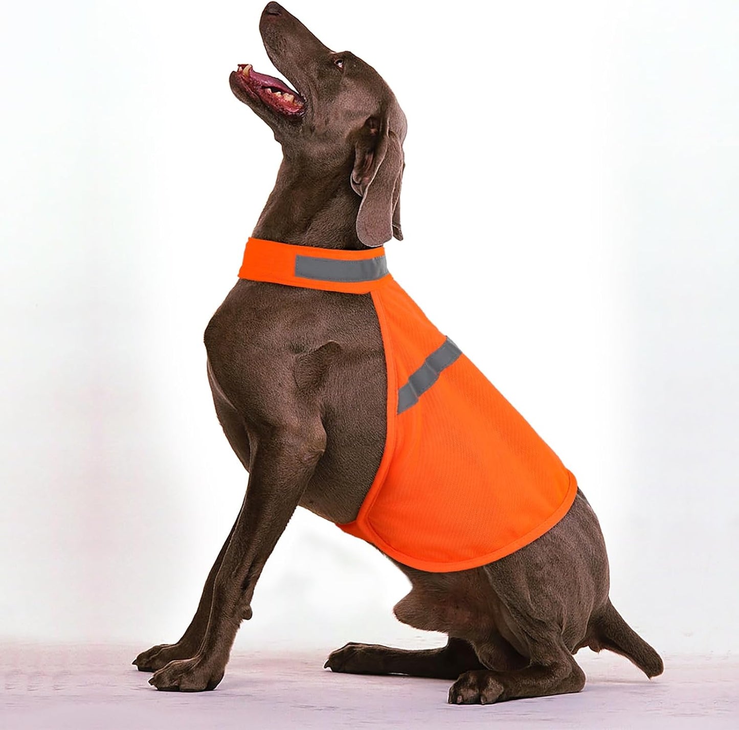 Reflective Dog Vest - Safety Vest with High Visibility-S-Nora Luxe