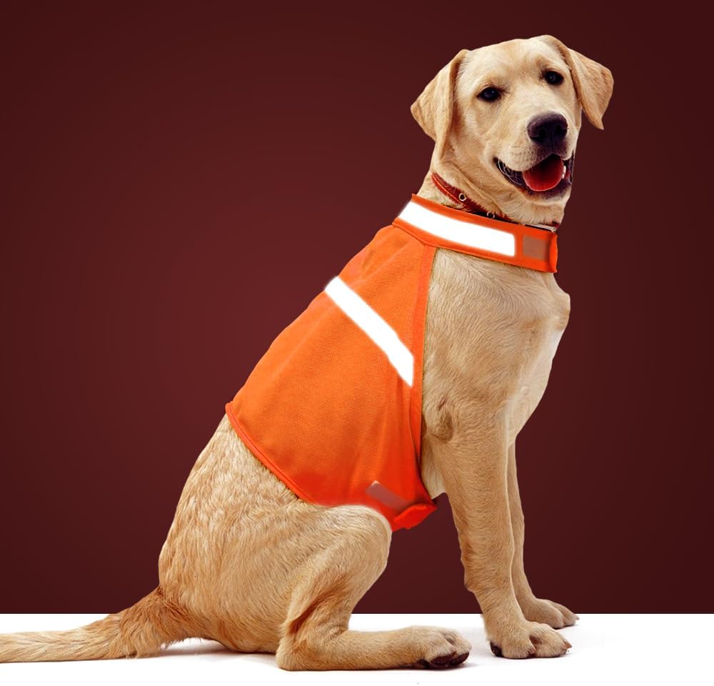 Visible Pet Vest - High Visibility Dog Safety Jacket - Pexav