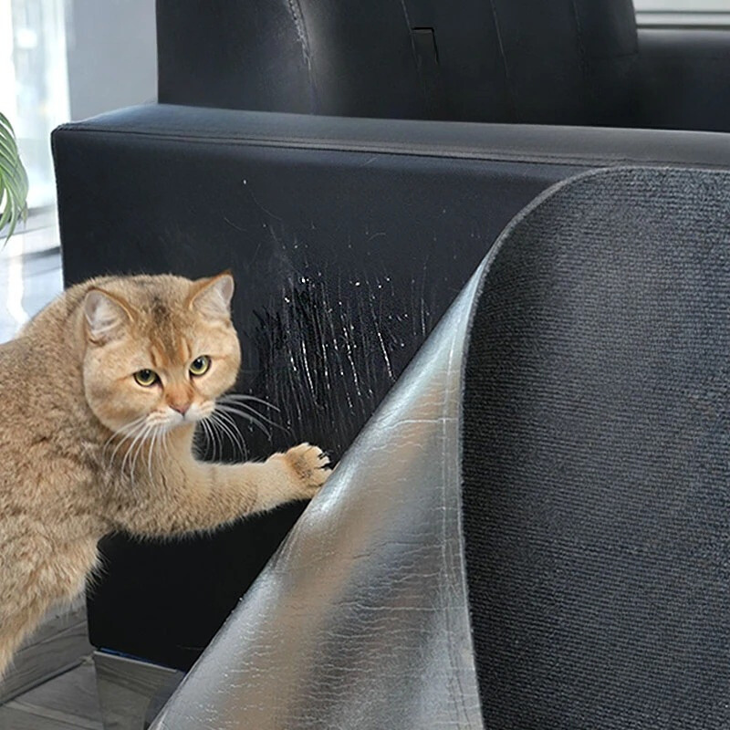 Easy Peel Cat Scratch Pad - ScratchStop - Pexav
