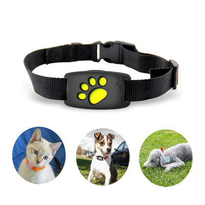 Smart GPS Collar for Cats and Small Dogs – PawTrack-Black-The Livary