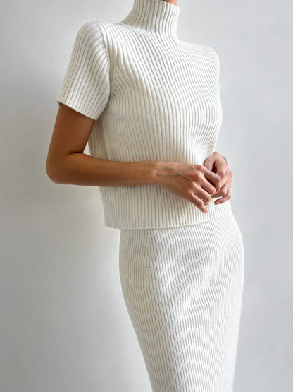 Comfortable Crew Neck Ribbed Knit Two Piece Skirt Outfit
