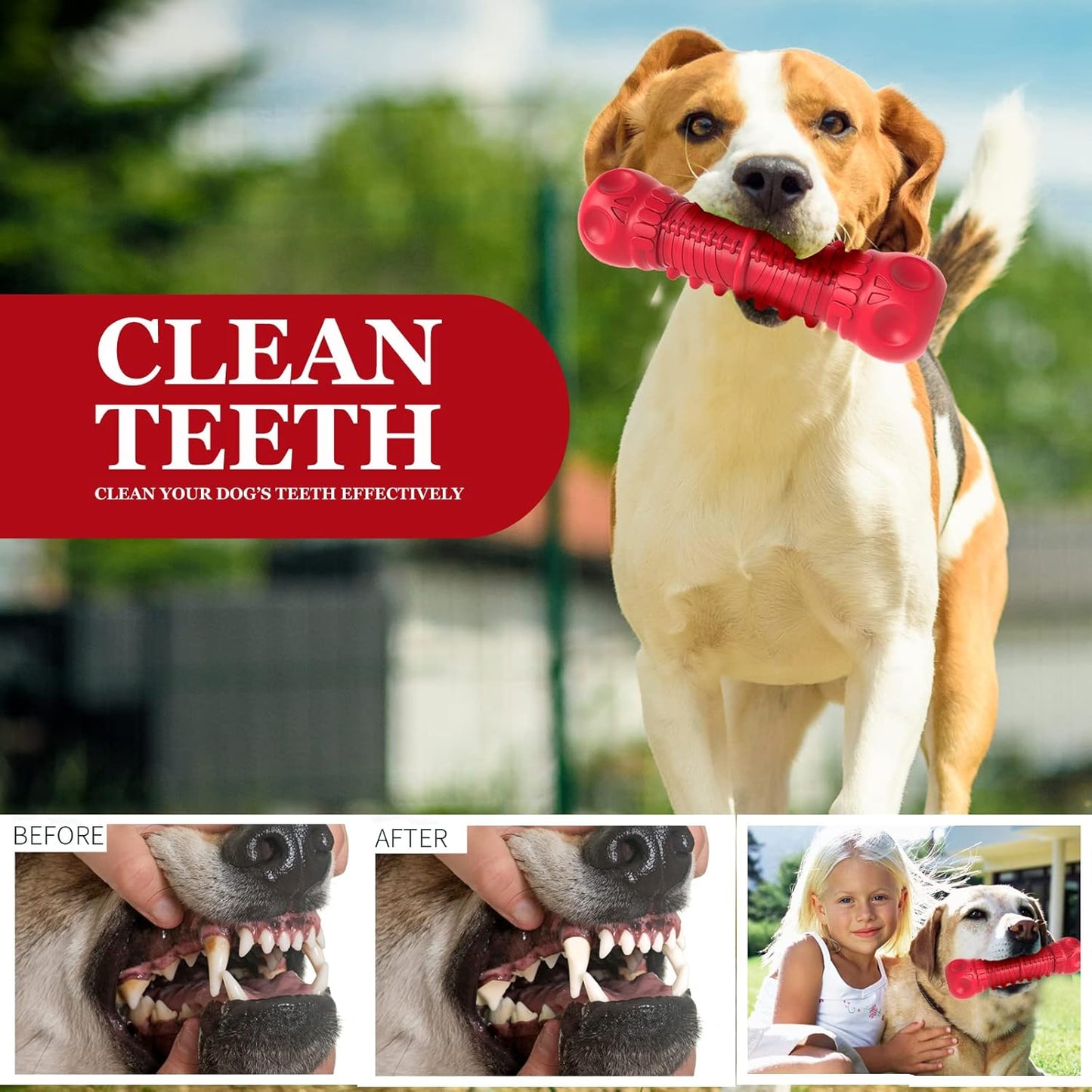 Strong Rubber Chew Toy for Dogs-Red-Nora Luxe