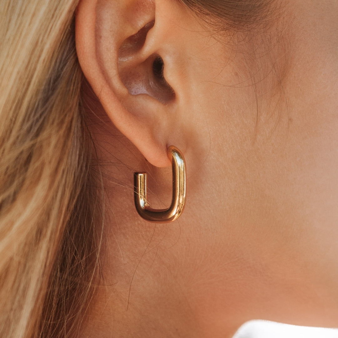 Fashionable Ladies Drop Earrings Naxos - Pexav