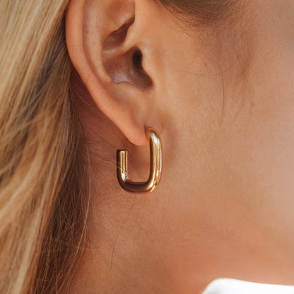 Fashionable Ladies Drop Earrings Naxos - Pexav