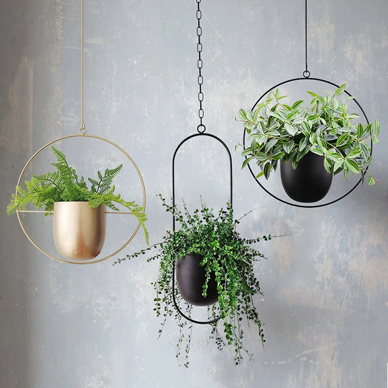 Hanging Planter for Home and Garden - LeafLuxe - Pexav