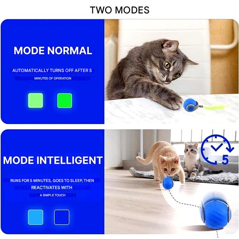 Fun Pet Rolling Ball Toy