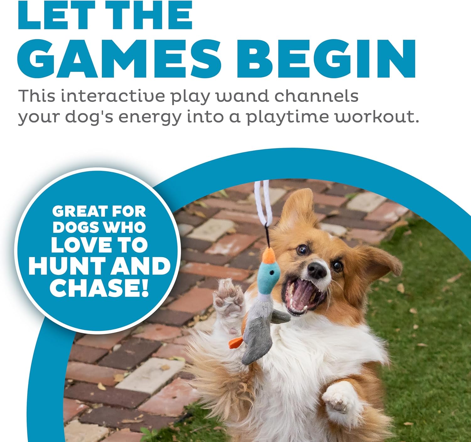 Tail Teaser Dog Play Stick - Perfect for Play and Exercise!-Nora Luxe