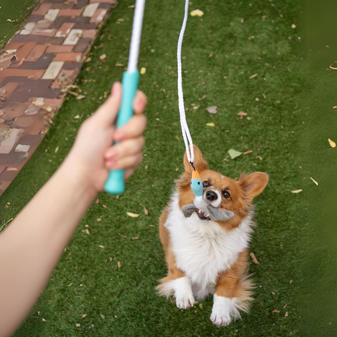 Tail Teaser Dog Play Stick - Perfect for Play and Exercise!-Nora Luxe
