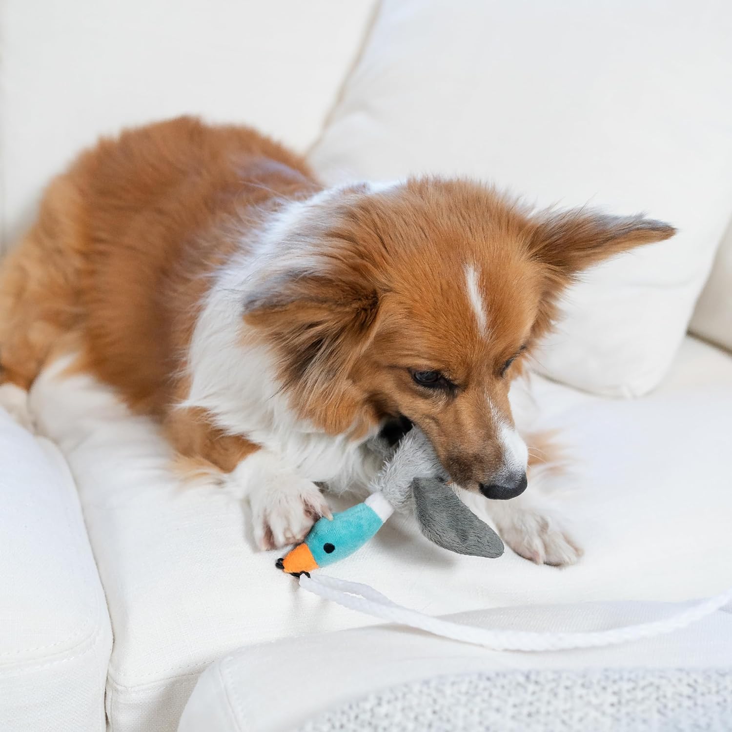 Tail Teaser Dog Play Stick - Perfect for Play and Exercise!-Nora Luxe