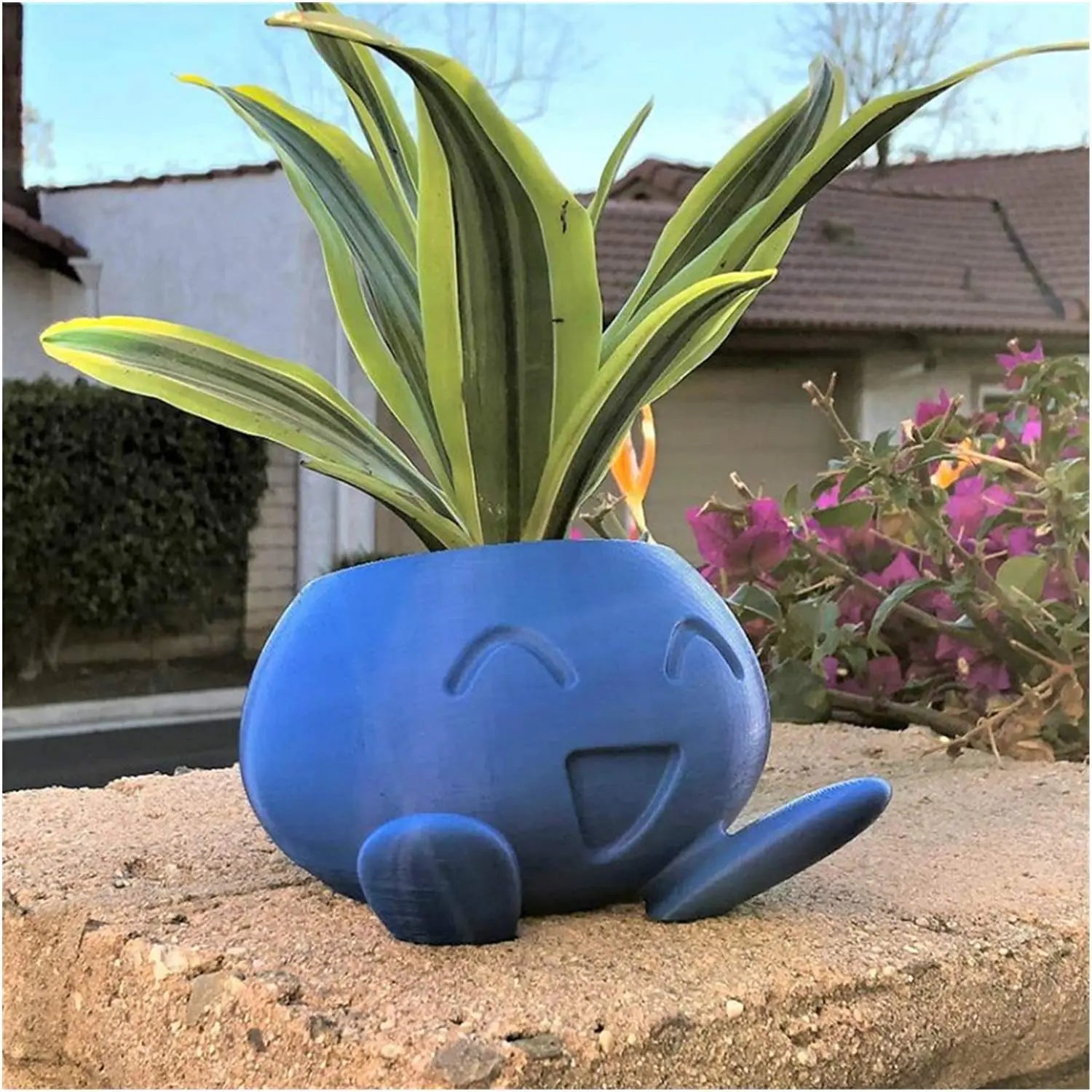 Fun Mini Succulent Planter - Pexav