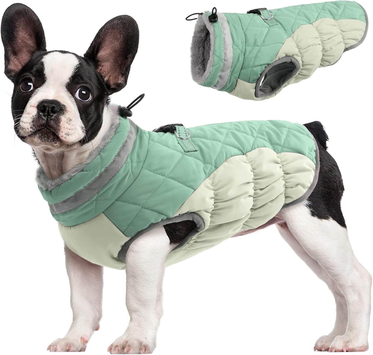 Warm Dog Winter Jacket with Built-in Harness-Mint Green-XS-Nora Luxe