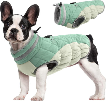 Warm Dog Winter Jacket with Built-in Harness-Mint Green-XS-Nora Luxe