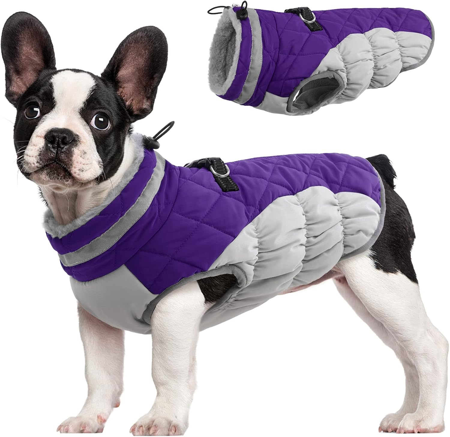 Warm Dog Winter Jacket with Built-in Harness-Purple-XS-Nora Luxe