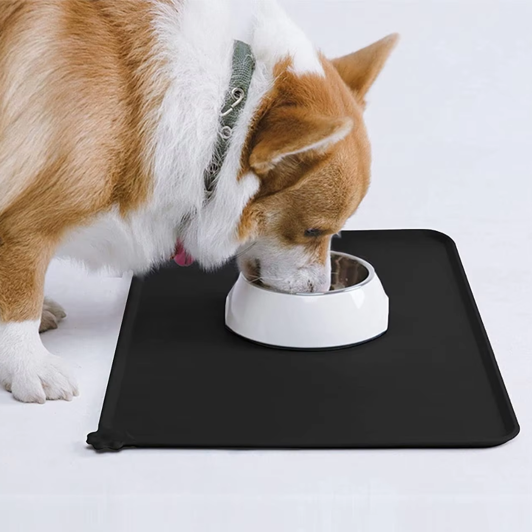 Easy Clean Pet Food Mat - Pexav